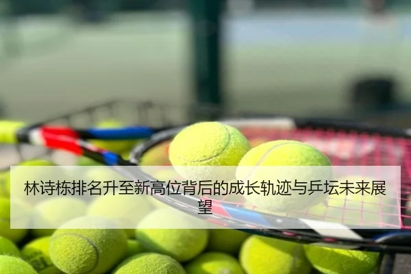 林诗栋排名升至新高位背后的成长轨迹与乒坛未来展望